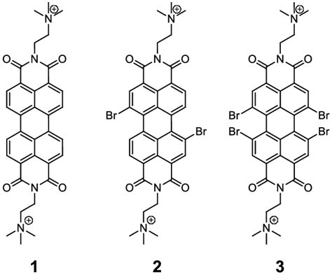 Molecular Structures Of PDIs 1 2 And 3 The Counter Ion Iodide Is Not