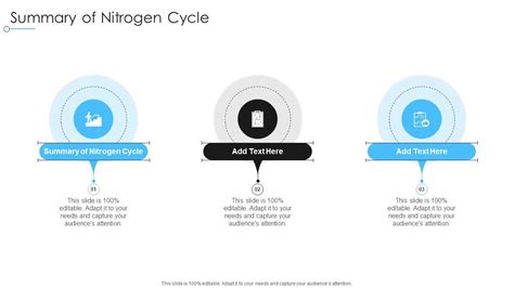 Summary Of Nitrogen Cycle In Ppt Powerpoint Presentation Slide ...