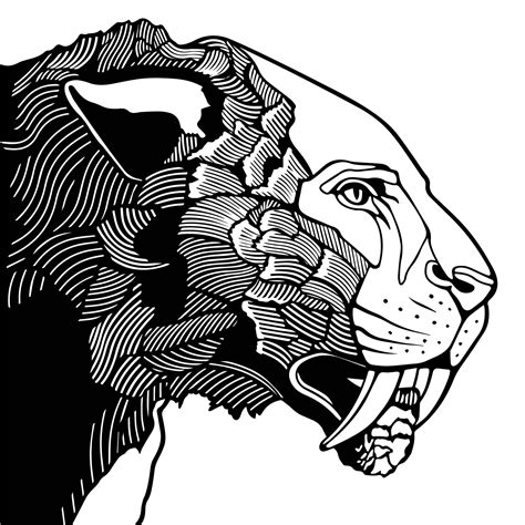 Texas Science & Natural History Museum | Austin TX