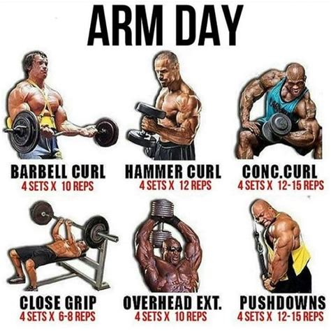 Arm Day Workout Gym Workout Tips Exercise