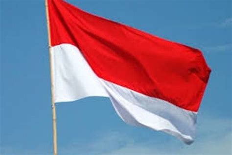 Simak Jadwal Dan Aturan Pengibaran Bendera Merah Putih Oke Flores