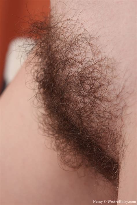 Hairy Porn Like Moist Tender Pussy Lips Xxx Dessert Picture
