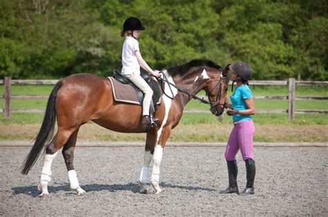 horse riding equestrian sports horseback riding lessons horse
