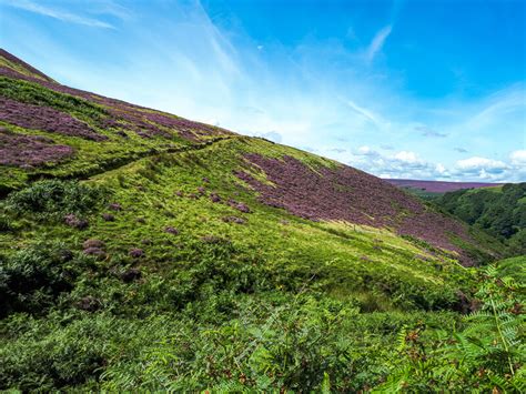 Derwent Edge Circular Walk (via Lost Lad + Back Tor) | 8-Mile Route ...