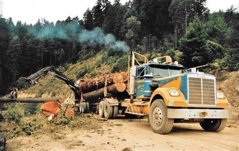 Pin by Bob Martin on Logging | White truck, Cool trucks, White western star