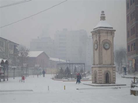 Batman Turkey Photo 30533173 Fanpop