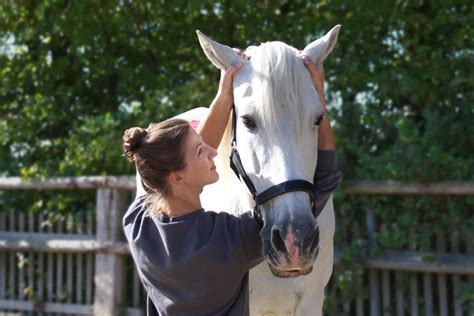 Tierphysio koeln Physiotherapie für Pferd und Hund