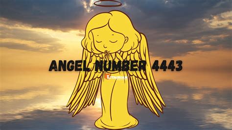 angel number  meaning embrace purpose creativity  spiritual