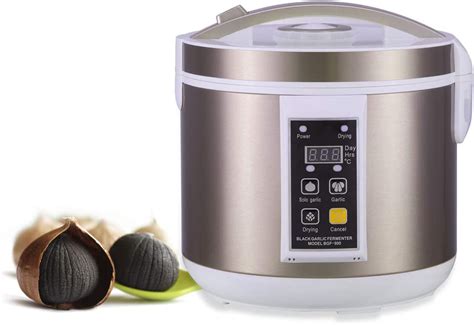 7 Best Black Garlic Fermenter Machine 2024 Reviews Top Picks