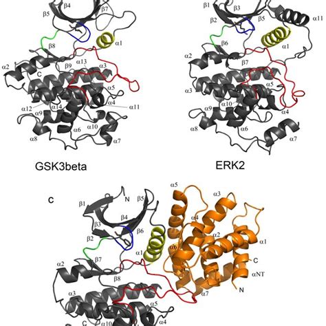 Kinases Are Shown As Secondary Structure Cartoons Representations