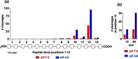 Selective Neutral Ph Inhibitor Of Cathepsin B Designed Based On