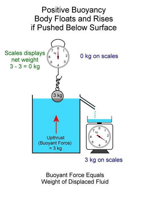 What Is The Difference Between Buoyancy And Water Resistance at