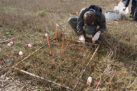 donnees observatoires centres de ressources inrae recherches pour