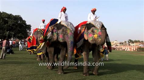 Elephant Parade During The Elephant Festival Jaipur Youtube