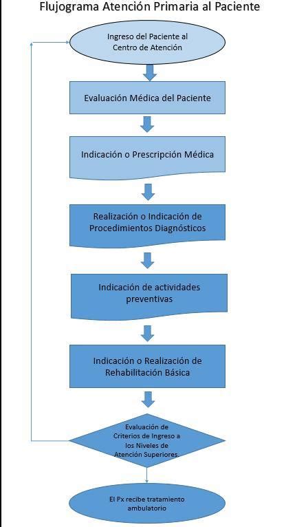 Elabora Un Flujograma Para La Atencion Primaria A Un Paciente Brainlylat