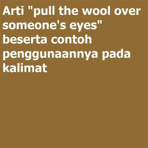 Arti Pull The Wool Over Someones Eyes Beserta Contoh Penggunaannya