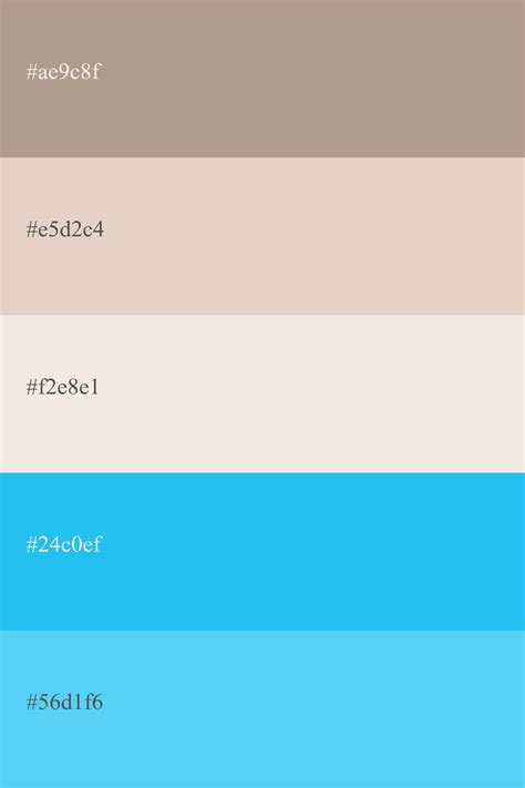 Paleta de color Nude códigos combinaciones