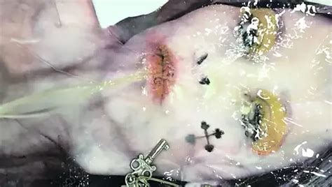 Johanna Countess Whore Gay Porn XHamster