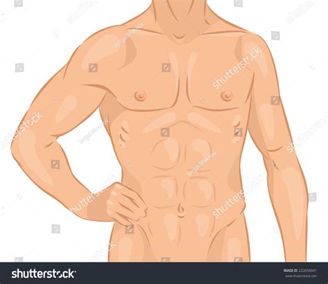 Vector Illustration Naked Male Body Stock Vector Royalty Free 222650041 Shutterstock