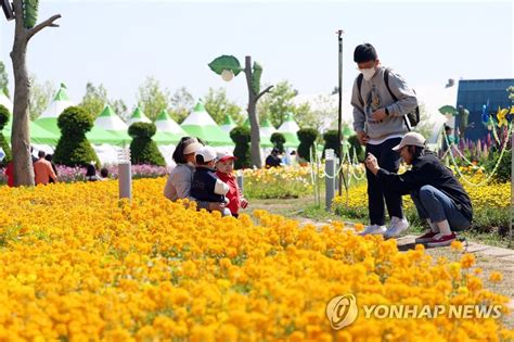 봄꽃과 함께 즐기는 함평 나비축제 연합뉴스