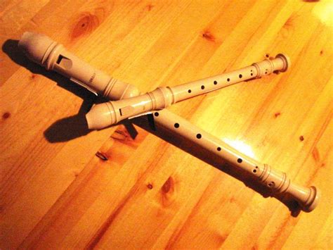 The Great Musician: What is a Recorder?