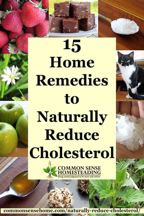 Lowering Cholesterol Naturally Through Diet Chatterinter