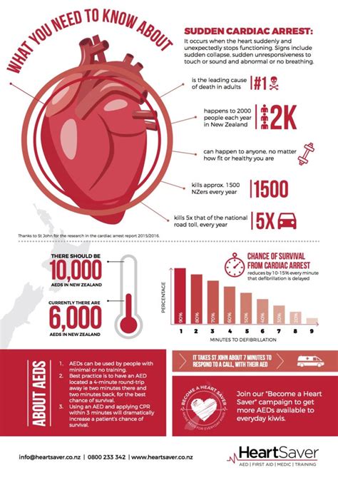 What You Need To Know About Sudden Cardiac Arrest Grownups New Zealand