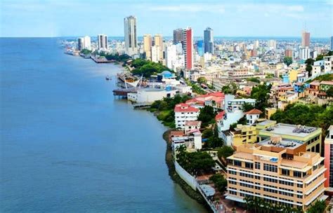 Qu Son Las Ciudades Marca Y Cu Les Predominan En Am Rica Latina