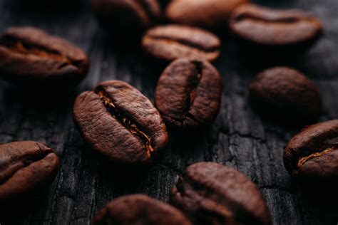 Tastyc – Coffee House WordPress Theme – Premium Solutions for your ...