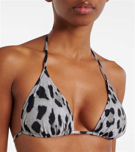 Leopard Print Bikini In Multicoloured Dolce Gabbana Mytheresa
