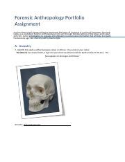 Forensic Anthropology Evaluating Bones For Age Sex Ancestry Course Hero