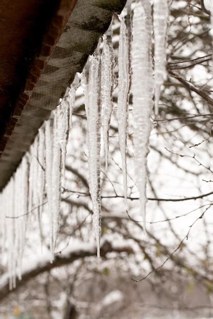 Premium Photo Icicles Hanging From The Roof Of The House