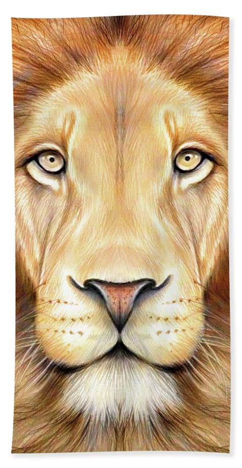 Update 143 Lion Colour Drawing Best Seven Edu Vn