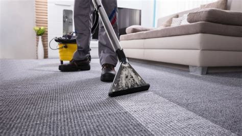 Why You Should Have Carpets Professionally Cleaned The Web News