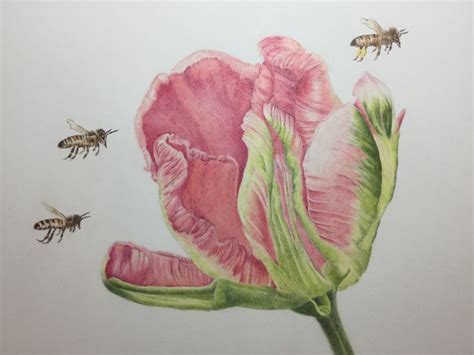 Some Bees Are Flying Around A Pink Flower