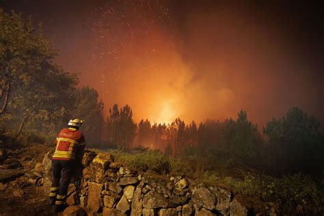 Incêndios já consumiram mais de 100 mil hectares em Portugal quase