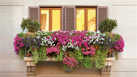 Hardsadness Balcony Plants Balcony Garden Balcony Flowers