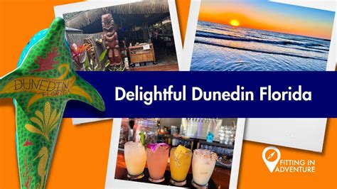 Delightful Dunedin Home To Local Breweries And Picturesque Beaches