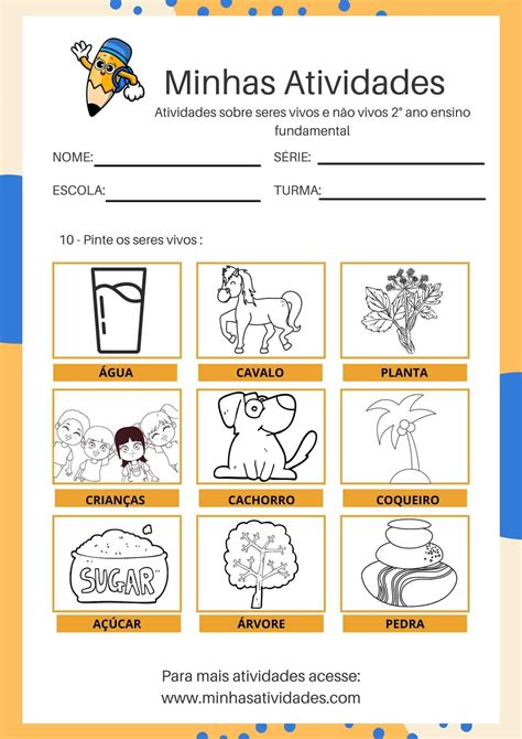 Caderno Com 9 Atividades Seres Vivos E Não Vivos