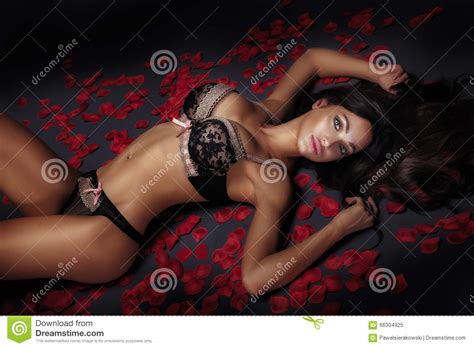 Brunette Woman In Lingerie Posing Stock Image Image Of Excitation Elegance 66304925