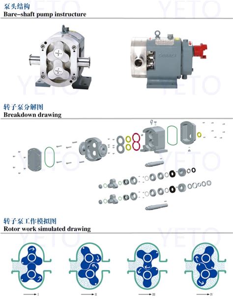 Yeto Stainless Steel Sanitary Rotary Lobe Pump Rotor Vane Pump For High