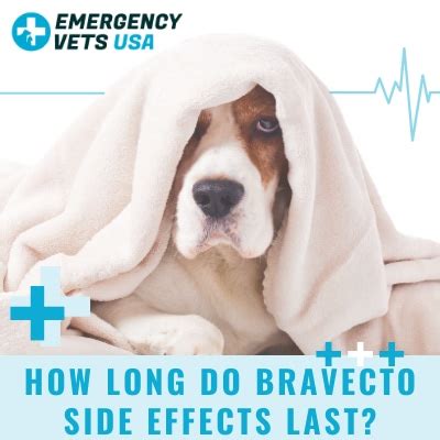 What Are Side Effects Of Bravecto For Dogs