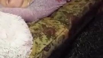 His Sister Sleeps He Jerks Porn