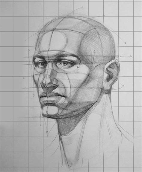 Competencia Disfraces añadir proporciones de un rostro dibujo Enseñando