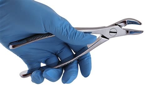 Forceps Dental Tipos Clasificación Extracciones Clínica Dental En