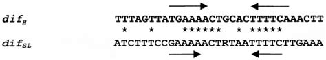 Pdf The Dif Xer Recombination Systems In Proteobacteria Semantic