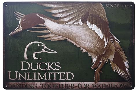 Ducks Unlimited Logo Wallpaper