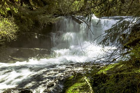 Photographing Oregon: Alsea Falls