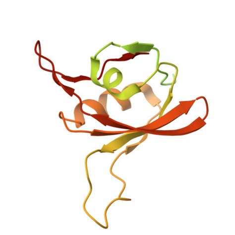 Rcsb Pdb Cqd The Nz Fab Complexed With The Pdz Tandem Fragment Of