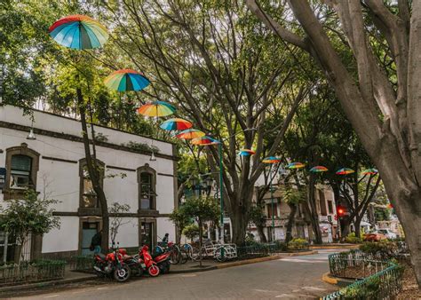 A Frequent Visitors Guide To Zona Rosa Mexico City 2025